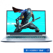 MECHREVO 机械革命 X8 Pro 17.3英寸游戏笔记本电脑（i7-11800H、16G、512GB、RTX3060、144Hz）