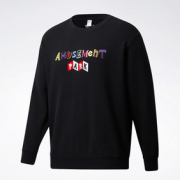 1日0点！Reebok 锐步 CL AMS GRAPHIC CREW 92619 男女款长袖卫衣