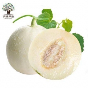齐峰缘 陕西阎良甜瓜 应季白皮甜瓜 整箱5斤
