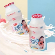 小样 乳酸菌 饮料 益生元 原味 酸奶饮品100ml*20瓶整箱