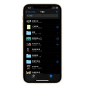 Apple 苹果 iPhone 12 Pro 5G智能手机 256GB 国家宝藏定制礼盒套装