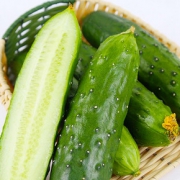 【顺丰包邮】新鲜东北农家旱黄瓜3斤