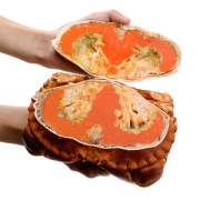 智利进口 鲜活熟冻 面包蟹 300g-400g 3只