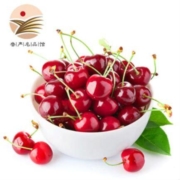 预售：山东大樱桃J级 2.5kg