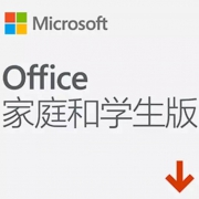 Microsoft 微软 Office 2019 家庭学生版 终身版 兼容win10*2件