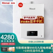 Rinnai 林内 JSQ31-D06 燃气热水器 16L