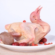 山野色 散养足龄乳鸽 350g*3只 现杀现发