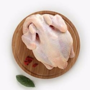 PLUS会员：仓帝 新鲜土鸡三黄鸡 700g（买一送一）