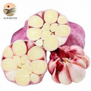 京东PLUS会员： 苹果红了 新鲜紫皮大蒜 中果500g装 *5件