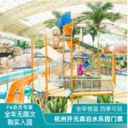 飞猪F3/F4专享：杭州/莫干山森泊水乐园成人门票