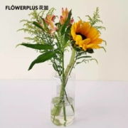 plus会员：FlowerPlus 花加  向日葵1枝+黄莺2枝+香槟色六出1枝