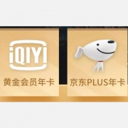 爱奇艺黄金VIP年卡+京东PLUS联名会员年卡