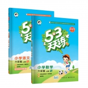 《 53天天练 》 六年级上册 语文+数学 人教版