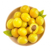 京觅 新疆小白杏 甜杏 约500g/盒