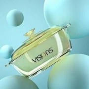 VISIONS 康宁 晶莹汤锅玻璃锅  2.1L