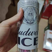 Budweiser/百威 冰啤500ml*18听