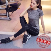 阿妮丝  夏季运动套装  瑜伽服