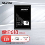GLOWAY 光威 悍将 SATA3.0固态硬盘 480GB