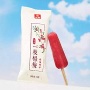 京东PLUS会员：光明 仙居一支杨梅 棒冰雪糕 70g/支 20支