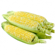 PLUS会员！静益乐源 新鲜水果玉米 500g装