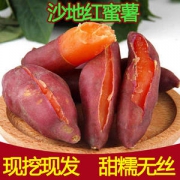 瓜果蒂岱 六鳌沙地板栗红心蜜薯 大果5斤