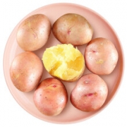 青沃生鲜 云南红皮黄心小土豆 9斤装