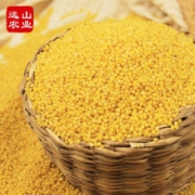 京东极速版：远山农业 山西黄小米 500g*2 袋