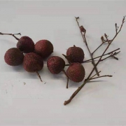 验货：土八鲜 新鲜黑叶荔枝 带箱5斤