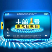 NANFU 南孚 丰蓝1号电池 1粒