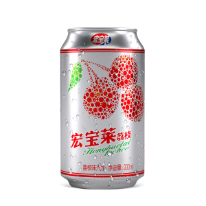 宏寶萊東北老汽水荔枝味汽水310ml12整箱