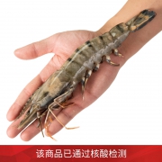 PLUS会员：jufuxian 聚福鲜 活冻黑虎虾 毛重1.2kg*2件
