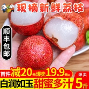 雪人兄弟 海南妃子笑 新鲜荔枝 3斤