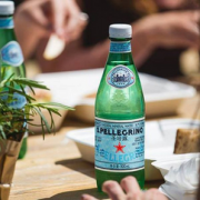 S.PELLECRINO 圣培露 充气天然矿泉水 500ml*24瓶