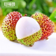 甘福园 妃子笑荔枝 1500g 实惠装