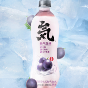 88VIP！Genki Forest 元気森林 夏黑葡萄苏打气泡水 480ml*9瓶