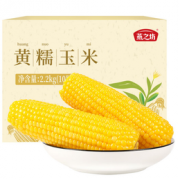 燕之坊 新鲜黄糯玉米 10根 2.2kg
