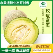 瓜中贵族 百果园 海南玫珑蜜瓜 2个装 净重4斤以上