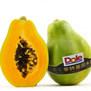 菲律宾进口！Dole 都乐 非转基因木瓜4只装 单只350g以上
