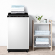 LittleSwan 小天鹅 TB100V23H 波轮洗衣机 10kg 智利灰