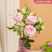 PLUS会员！REFLOWER 花点时间 混合花束 鲜花速递