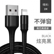 电引力（DINEINLY） 苹果快充线 1米