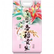 十月稻田 香稻贡米 东北大米 5kg*2件