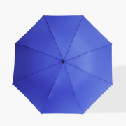羚羊早安  晴雨伞