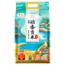 金龙鱼 臻选 稻香贡米 5kg