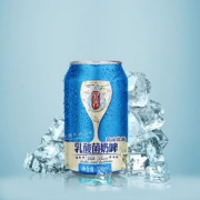宜养 乳酸菌奶啤 300ml*12瓶