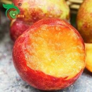 PLUS会员：三兴源缘 陕西六月紫李子 3斤