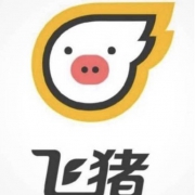 聚划算百亿补贴：飞猪 火车票 7-6元 优惠券