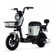 Luyuan 绿源 ZFA 蜜豆 TDT2020Z 新国标电动自行车