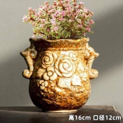 腾阳 创意植物花盆 高16cm