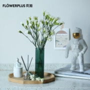 PLUS会员：FlowerPlus 花加  优选香石竹10枝 颜色随机